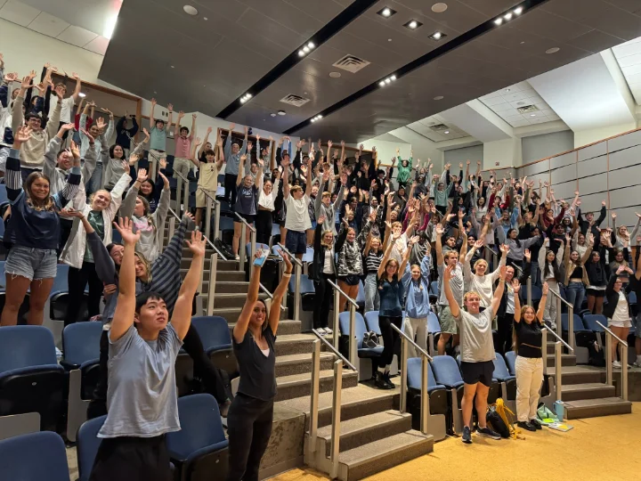 Big–Little mentorship at DDS